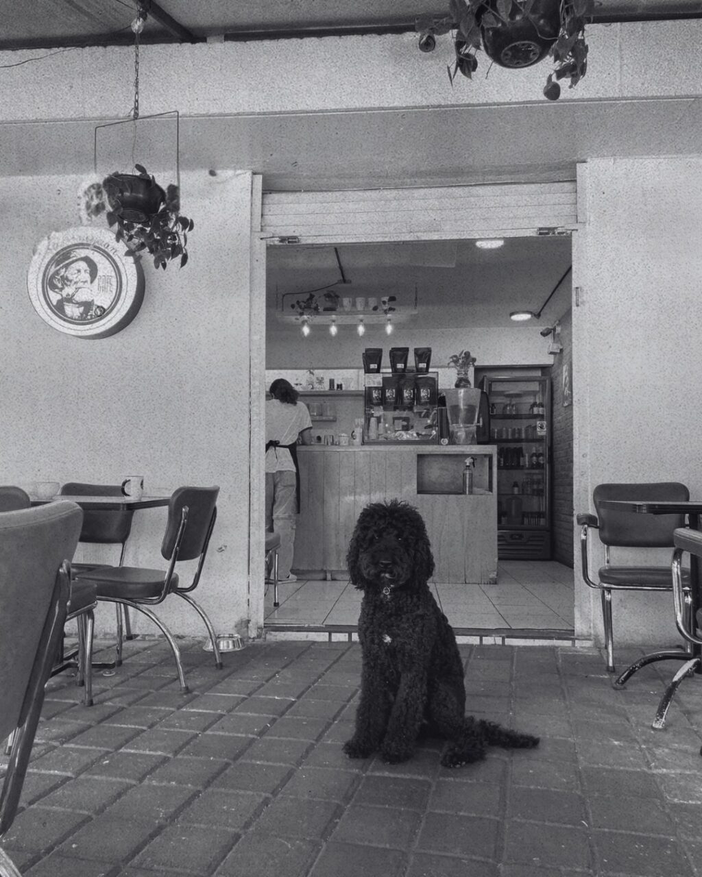 Instagram post from elterriblejuancafe. This post is in position 4.