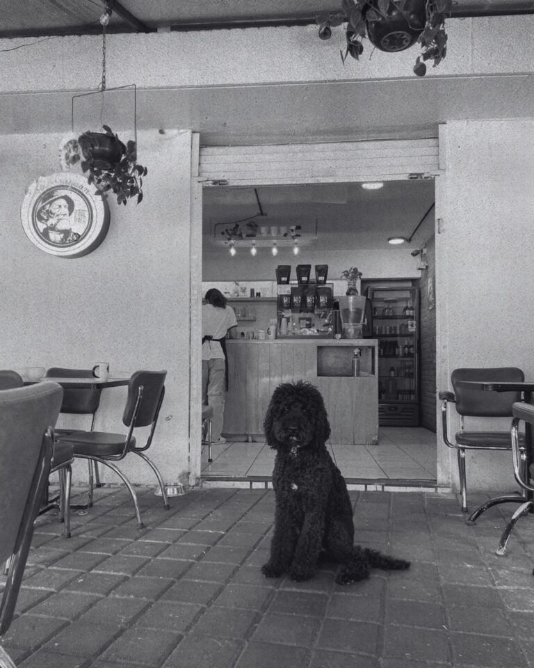 Instagram post from elterriblejuancafe. This post is in position 4.